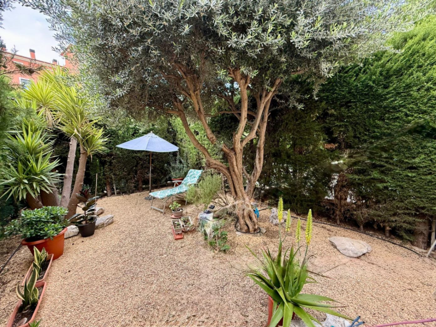 Bajo en Denia de dos dormitorios con jardin privado a 5 minutos de la playa