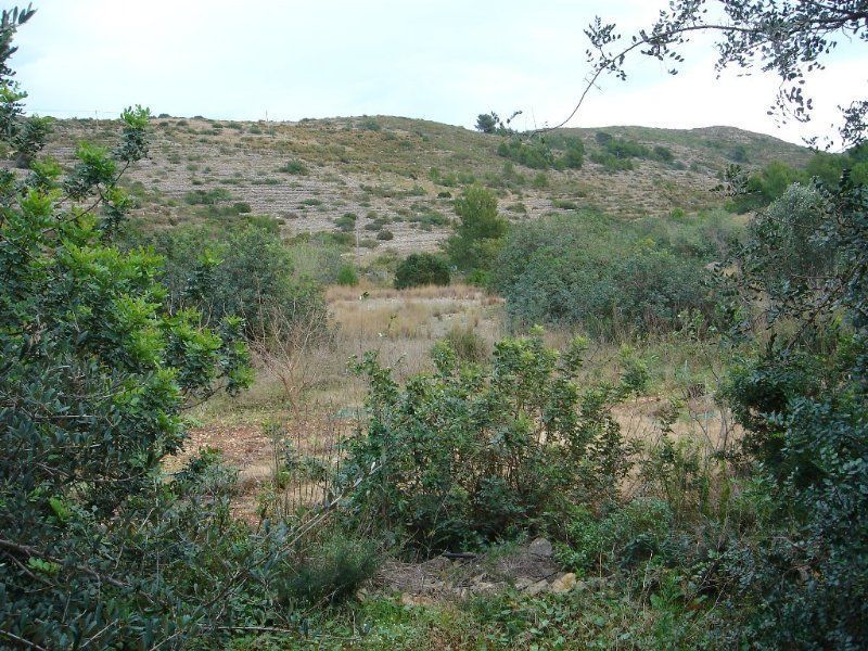 Baugrundstück am Rande des Naturparks in Denia